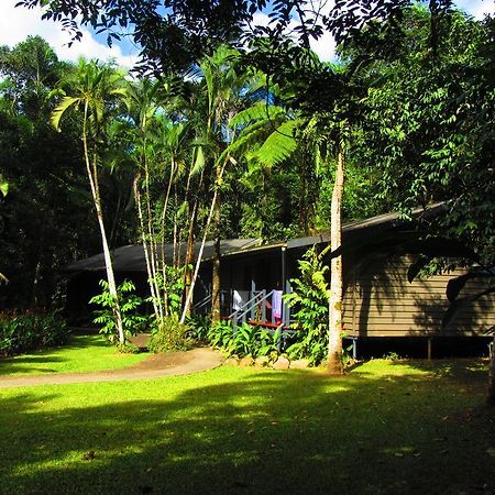 Heritage Lodge In The Daintree Cape Tribulation Exteriér fotografie