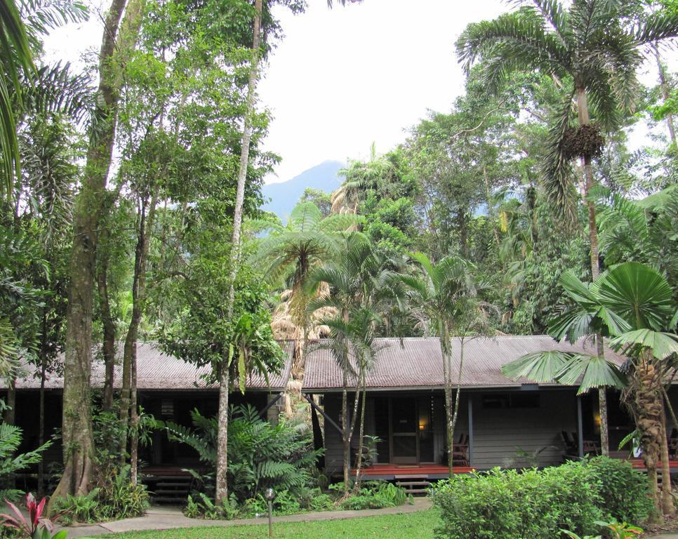 Heritage Lodge In The Daintree Cape Tribulation Exteriér fotografie