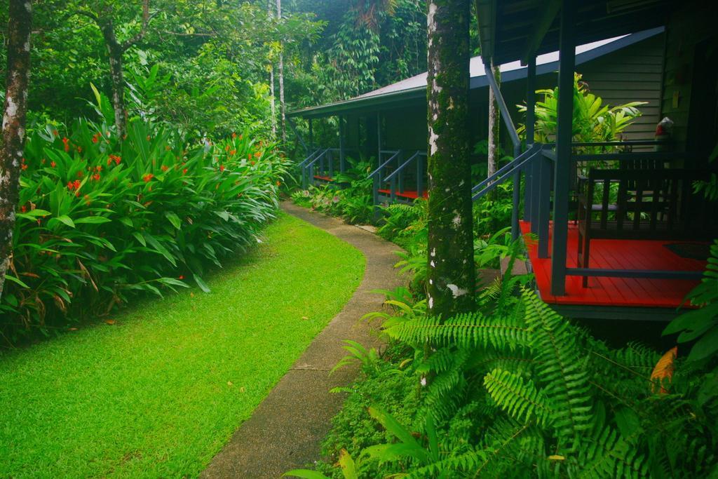 Heritage Lodge In The Daintree Cape Tribulation Exteriér fotografie