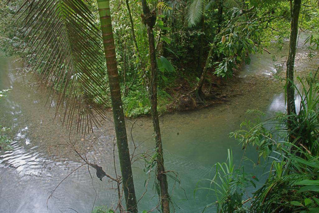 Heritage Lodge In The Daintree Cape Tribulation Exteriér fotografie